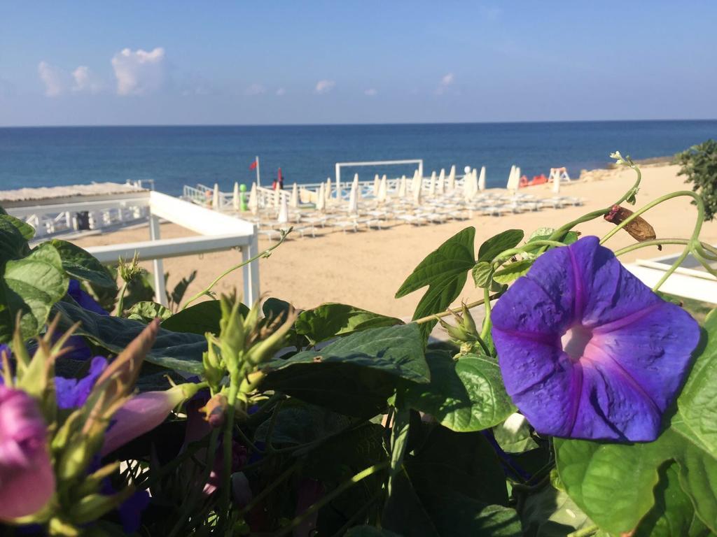 Magia Del Salento Hotel ตอร์เร ซาน จิโอวานนิ อูเจนโต ภายนอก รูปภาพ